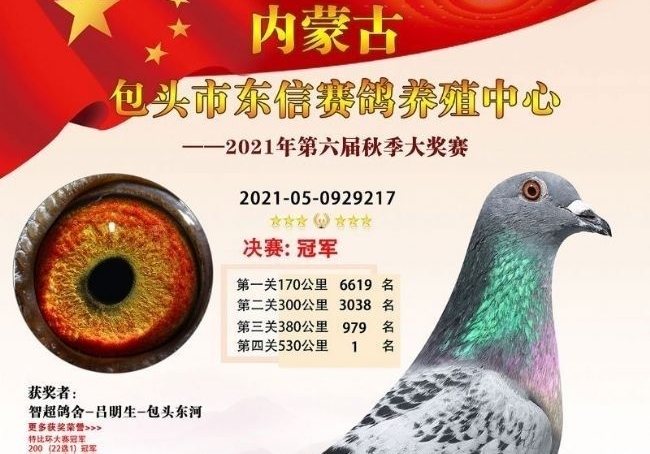 2021���＾����18��ھ�������