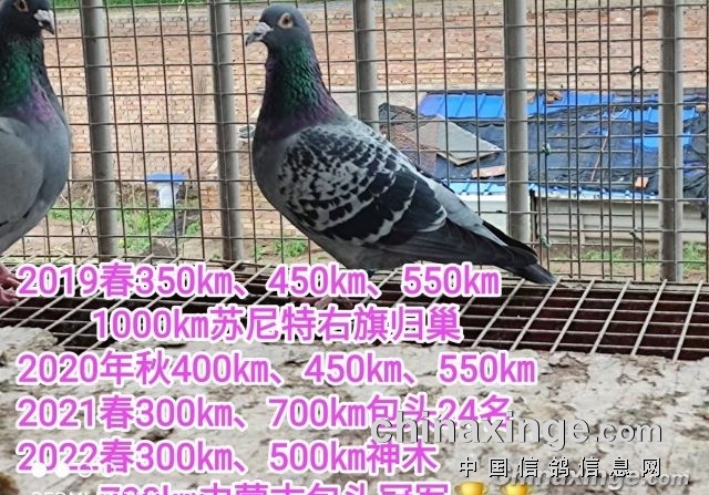 ����ר����������  700�����ն�ڼ���