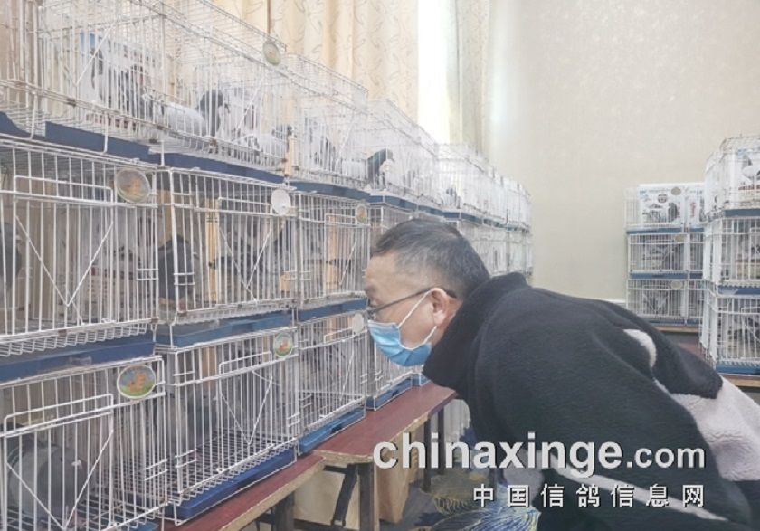 �ò��������˽���