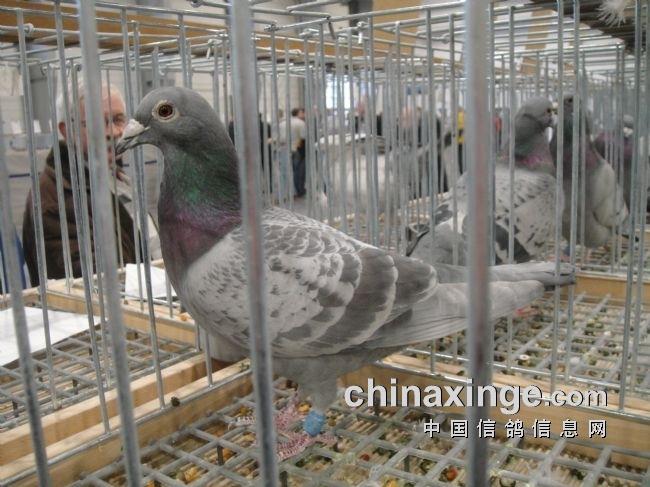 ��������һ�� ��ҧ����һ��