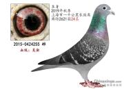 һ���������Ϲ��� ��ӭ��λ���ѵ���