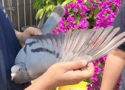 �ɶ��Ѷ�����رȸ����ܹھ����� ����Ӳ���Ǹߣ�