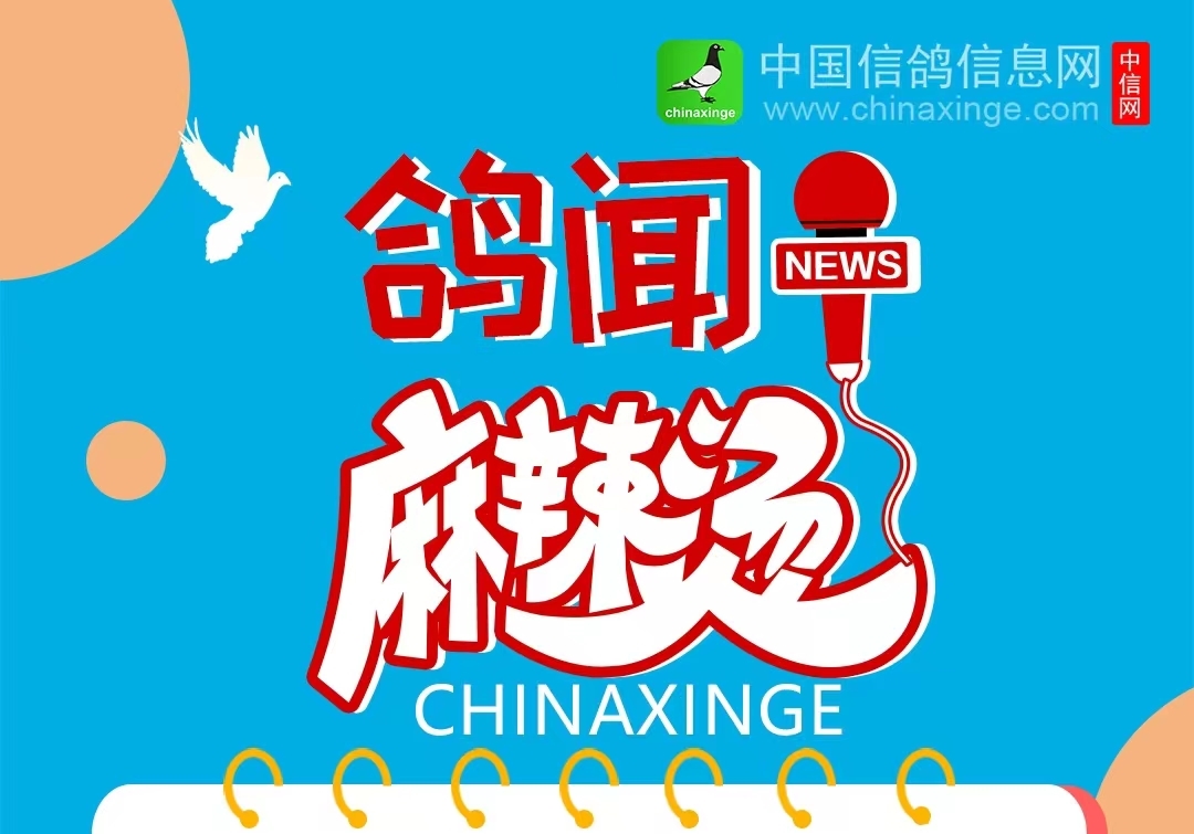  ����������28�ڣ��������ʣ���� �µ���ͷ�²������