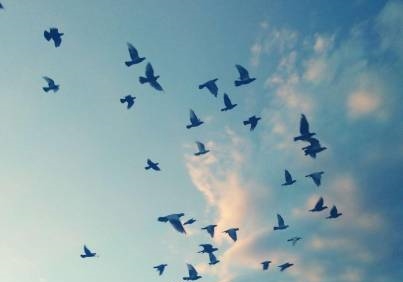 ����Ե ���¸�������