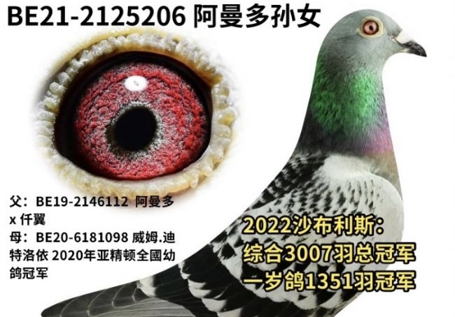 ���ɹھ������䣿�������������101��