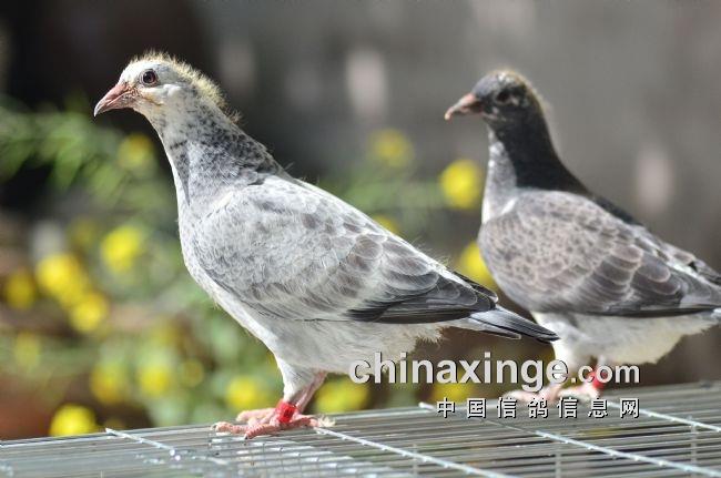 ��10����һ�Σ�