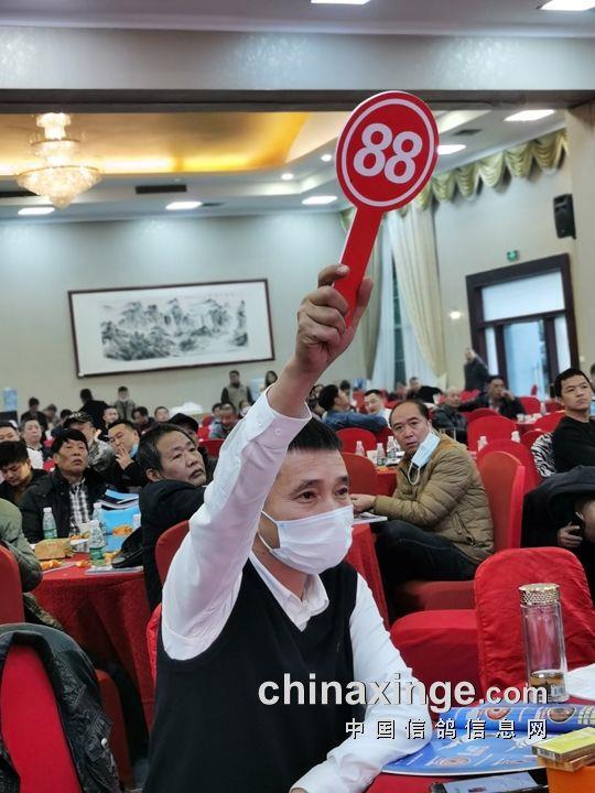 �񽱸�����������