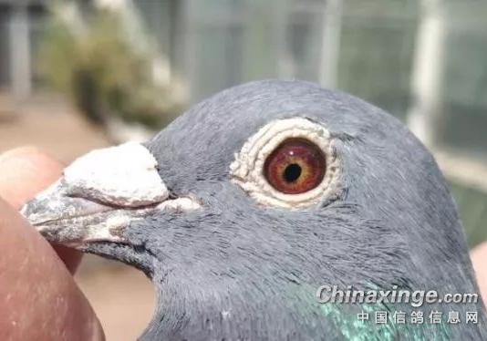 �������ʲô��