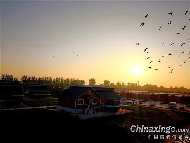 �Ĵ���Զ�̼����ܼ��룿