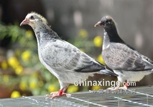 �������Ӵ����λ ����������ԭ�����