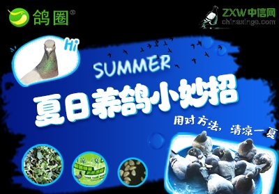 ��Ȧ�»����������С����