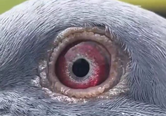 �Ͻ����Ը���������������