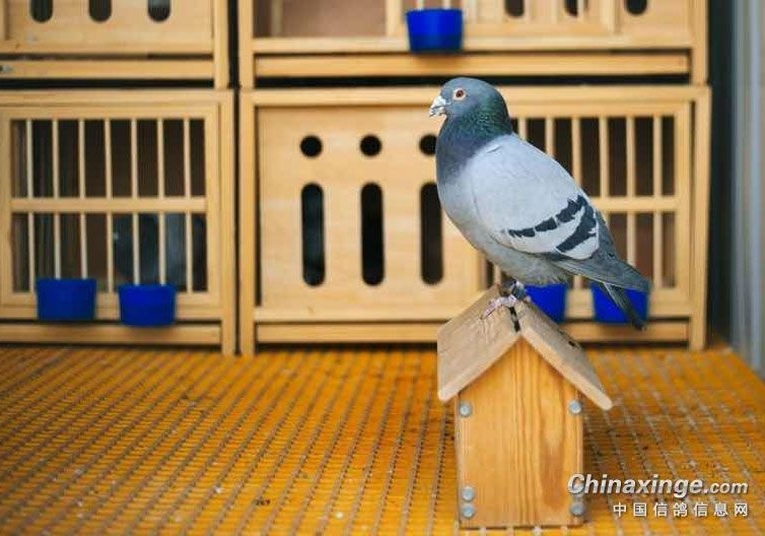 �Ҽ����е���������