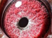 �������ͣ���Ʒ��һ�� �кΰ��