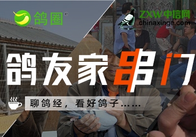 ����Ȧһ���ĸ뾭 ������