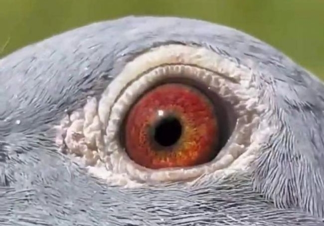 �󲡳�����չ�۷硪���ܷ��¿˽������Ԯ�ִ��Ѽ�