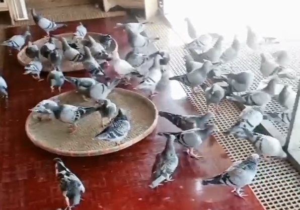 ���һ��ѪҲ��������