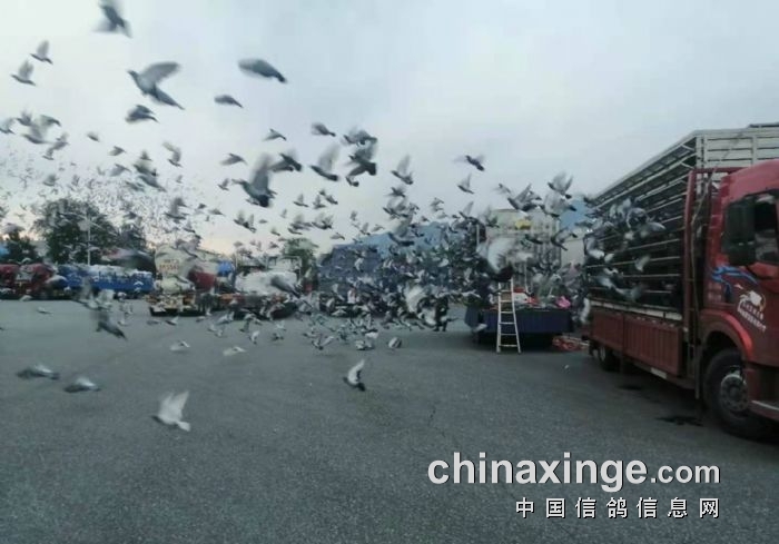 ǧ���ﵱ�չ�