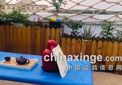 ��������3���ҵġ����л�԰����ʽ�깤�ˣ�