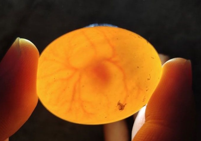 ���뵰�����о֡������ٵ����ɳ������ھ�