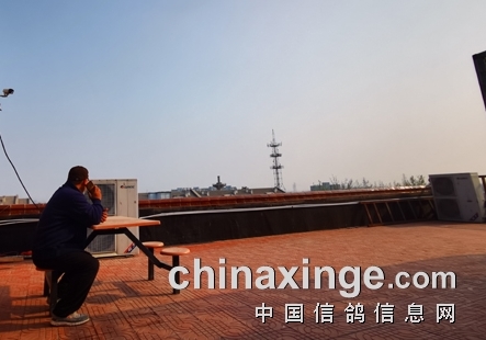 һ�ָ��� һ�ֺ���