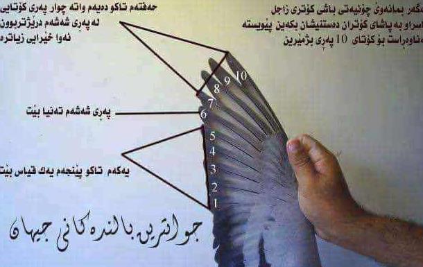 �õ�����������ʲô����