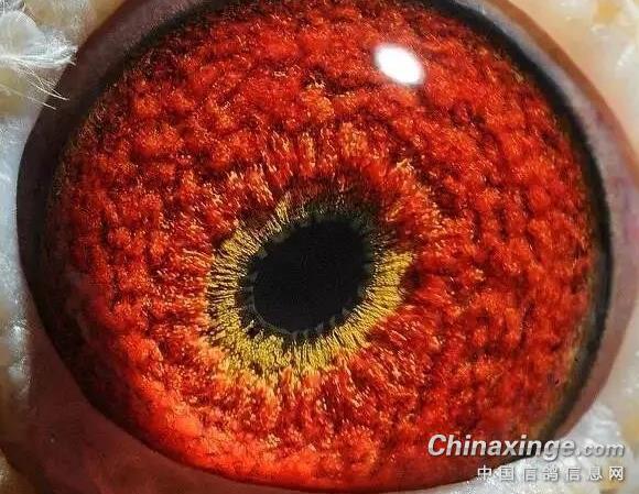 ������һ�ż���