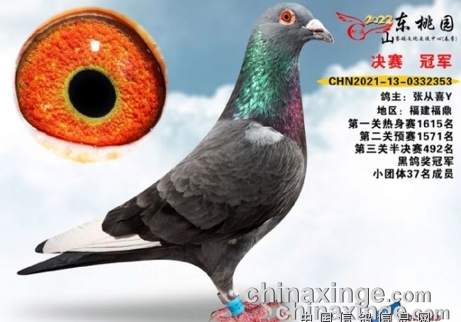 ���һ�����Ӯ ɽ������ھ����̵�