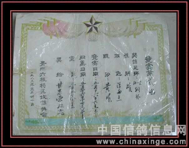 �����٣����������ֻ��ǶĲ���