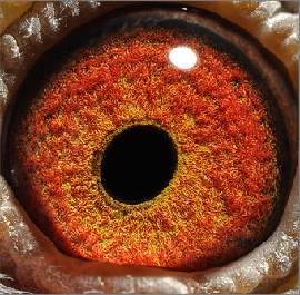 ����ƾʲô�ɸ�λ��