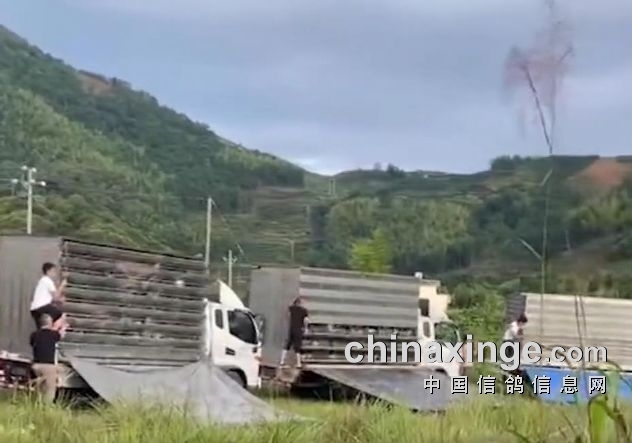 ��������ҫ����Ϊʲô�ļ�����