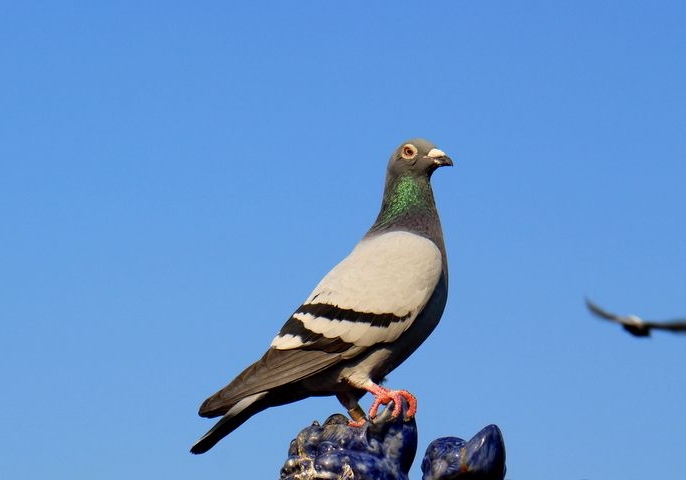 ͼ���Ƭ�������˾�ͷ�е�һ���ļ�