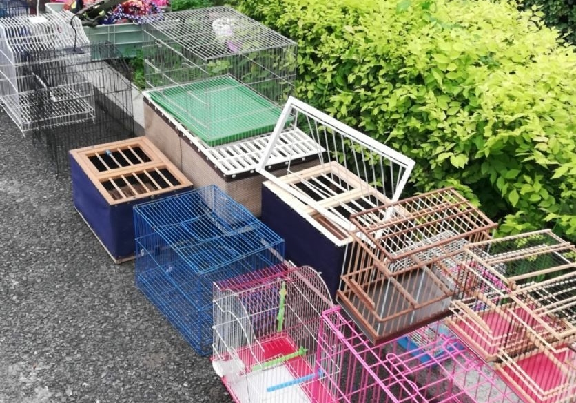 ������Ϣ�����