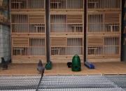 �������ǣ�һ�ж��������е�ģ��