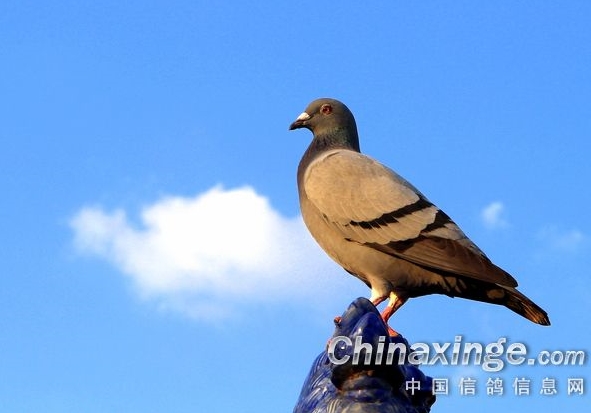 �����˶��ܡ����١� ���ַ��ռ��ֻ��᣿