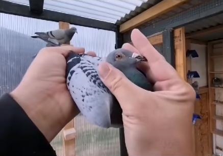 �������һ����� ��Ȼ����ȥ���ˣ�