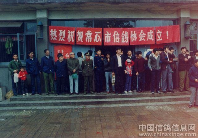 ���Ƶ�����Ƭ�� ���������������ഺ