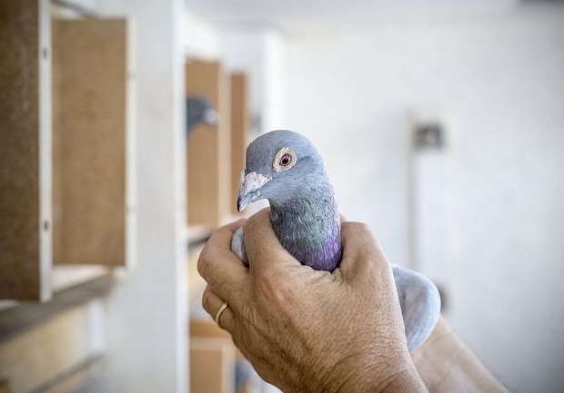 ������ڿ���ϵͳ������