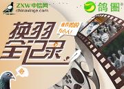 ��Ȧ�»������ȫ��¼�����ˣ�