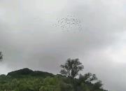 ʲô�Ǹ��Ӽҷɵġ��ٽ�㡱