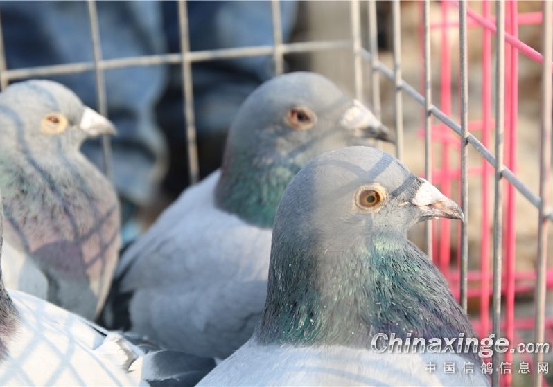 �����ر�һ����Ϳ ���һ��Ǽ����������