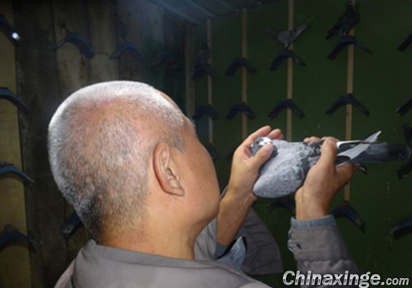 �����˵�ԭ�򣺲��� ��Ĳ���