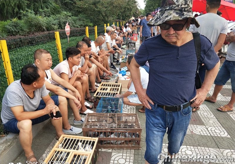 ���㿴�� �����������ĸ����˼�