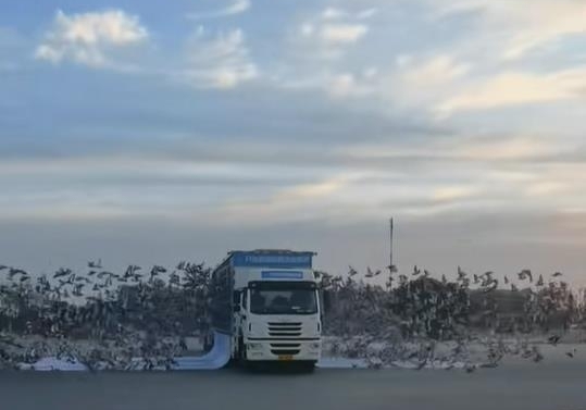 8�������� ���ܳ�Զ��Ϊ�β������ꣿ