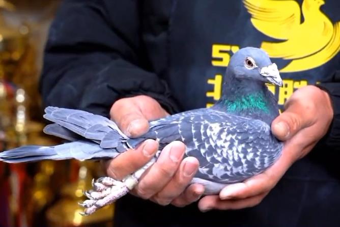 ����624����NPOȫ���ھ�������