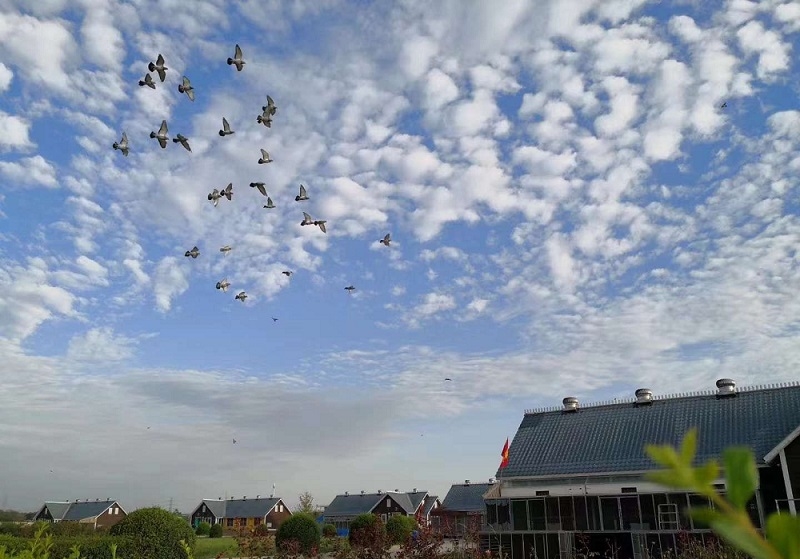 �ռ�԰������� ˵������������