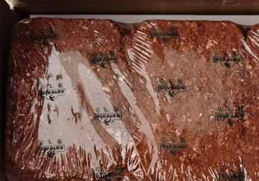 �޳� ����Ҳ�桰�ؽ�����