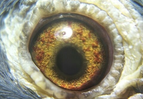 ������ ˵˵�ʺ����־�������