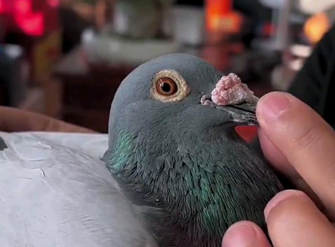 ���ݻԻ�����ˬ�������� �����Ǿ������ھ�