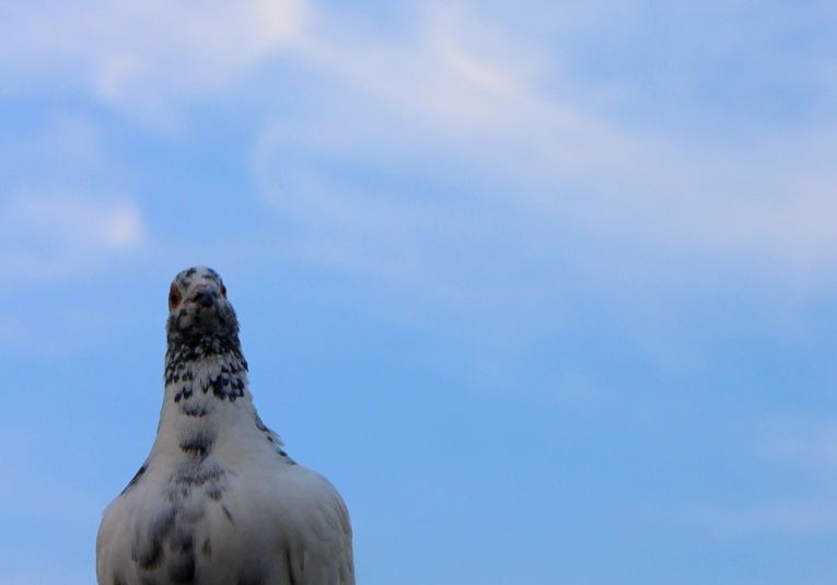 �׸뿪��ǰ��Ҫע��ʲô��